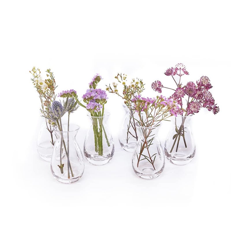 CHIVE â€˜Georgeâ€™ Glass Bottle Flower Vases â€” Set of 6 â€” Small, Elegant Clear Glass Bud Vases â€” Bulk Pack for Home Decor & Table Centerpieces â€” Shape 2 (Oval, 5" Tall, 2.5" Wide) - Image 1